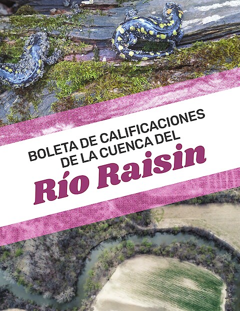 Boleta de calificaciones de la cuenca del Rio Raisin (Page 1)