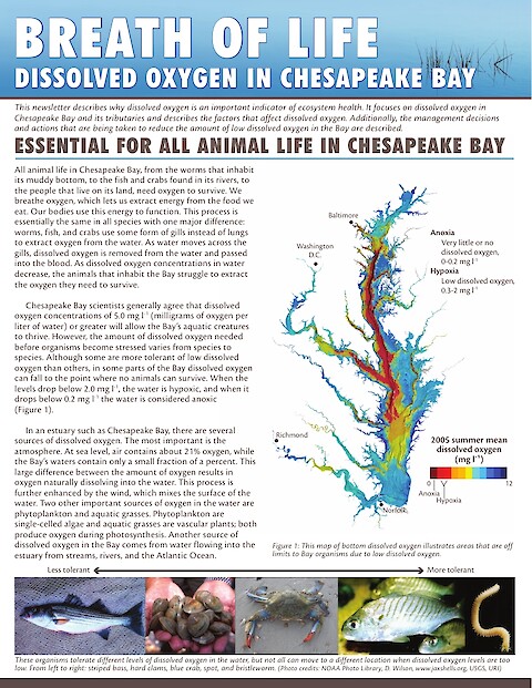 Breath of Life: Dissolved oxygen in Chesapeake Bay (Page 1)