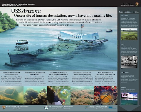 USS Arizona: once a site of human devastation, now a haven for marine life (Page 1)