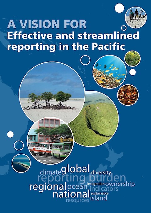 A vision for effective and streamlined reporting in the Pacific (Page 1)