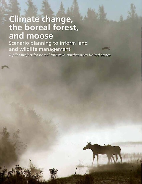 Climate change, the boreal forest, and moose: Scenario planning to inform land and wildlife management (Page 1)