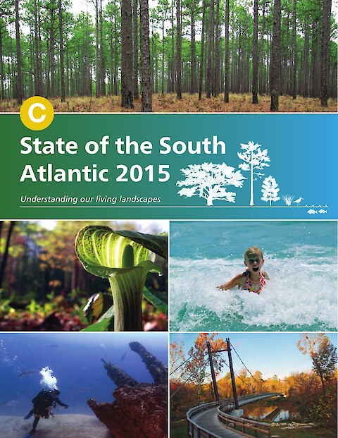 State of the South Atlantic 2015 (Page 1)