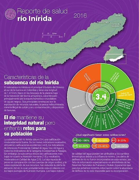 Reporte de salud río Inírida 2016 (Page 1)