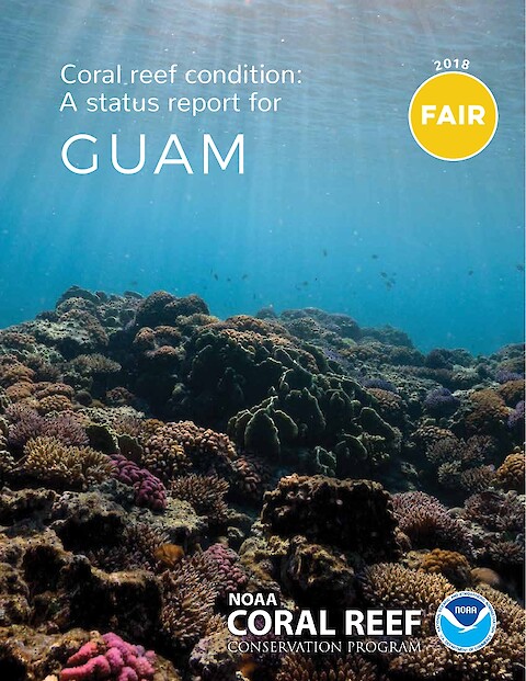 Coral reef condition: A status report for Guam (Page 1)