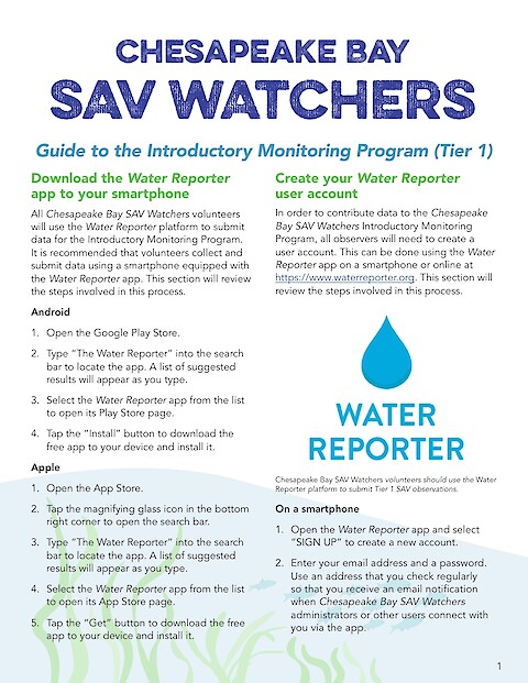 Chesapeake Bay SAV Watchers - Guide to the Introductory Monitoring Program (Tier 1) (Page 1)