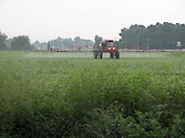 Over-application of herbicides and pesticides on farm fields can result in excess toxins and nutrients reaching the waterways.
Trappe, MD, June 30, 2005