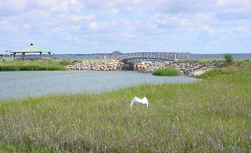 Restored tidal wetlands at Norfolk Naval Base
