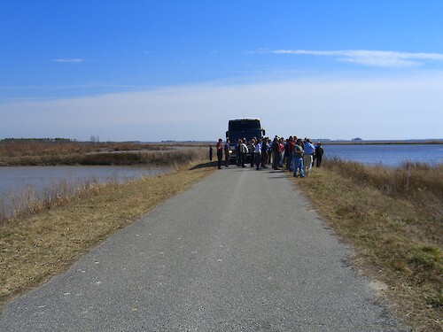 Loss of marsh on either side of this road at Blackwater National Wildlife Refuge leaves the road vulnerable to erosion