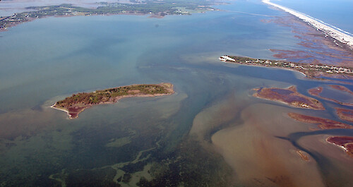 Shoals and seagrass on the border between Sinepuxent and Chincoteague Bays.