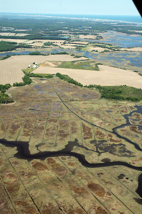 Looking north along the western edge of Newport Bay, with its many eroding marsh islands and small tributaries