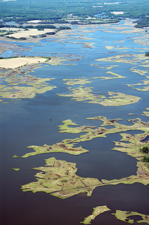 Looking north along Newport Bay, with its many eroding marsh islands and small tributaries