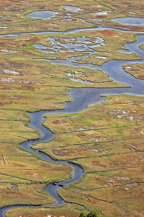 Eroding marshes and small tributaries in Newport Bay