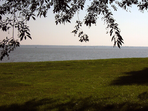 Choptank river from IAN building