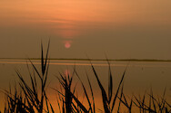 Sunrise over Maryland Coastal Bays