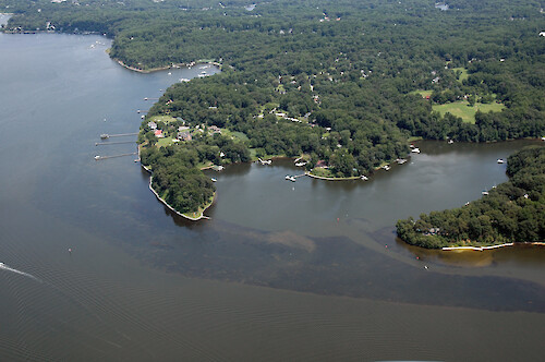 Seagrass in Round Bay in the Severn River, Annapolis, Maryland