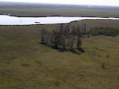 Intact wetlands of coastal Louisiana