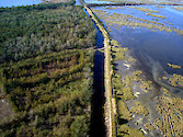 Flood protection barrier in coastal Louisiana south of Houma, showing marsh erosion and maintained marsh 