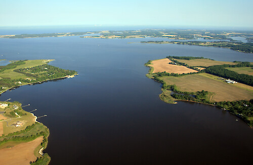 The mouth of the Corsica River, where it joins the Chester River.