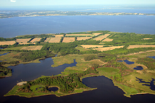 Looking west across the Eastern Neck National Wildlife Refuge. Kent Island and the Bay Bridge are in the background.