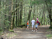 Family hikes Gatlinburg Trail in Great Smoky Mountains National Park
