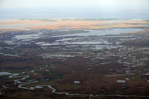 Looking across the Deal Island Wildlife Management Area towards Deal Island and Chance. Broad Creek is in the foreground.