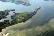 Hungars Creek on the eastern shore of Virginia, with shoals and seagrass visible