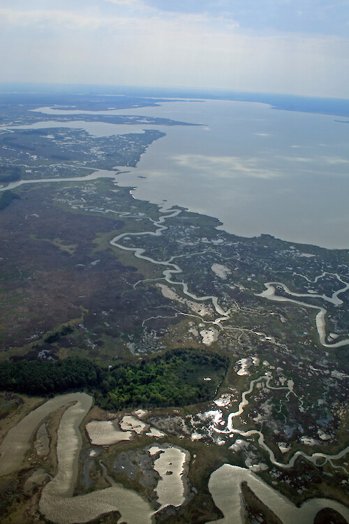 Pocomoke Sound Wildlife Management Area on the eastern shore of Maryland