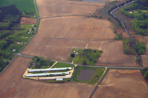 Poultry houses in Somerset County on the Eastern Shore