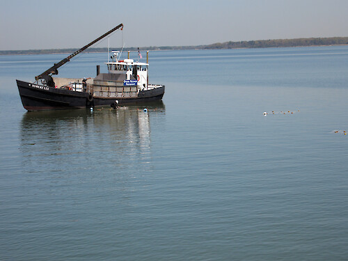 The Oyster Recovery Partnership deploying oysters in the Choptank River off Horn Point Laboratory