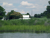 Poultry farm situated along Little Monie Creek sits behind a span of Spartina marsh.