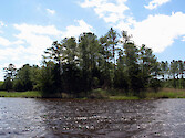 Monie Creek wends along, emptying into Monie Bay. Much of its length is surrounded by Spartina marsh and forest, along its flat topography.