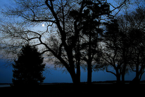 Moonrise over the Choptank River at Horn Point Laboratory, Cambridge