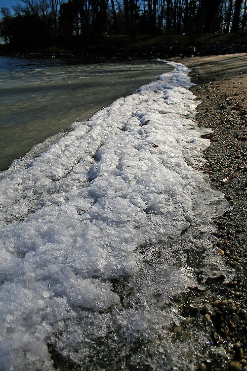 Ice on the beach at Horn Point Lab