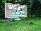 Merkle Wildlife Sanctuary on the upper Patuxent River. This was one of the overnight stops on the annual Patuxent Sojourn paddle.