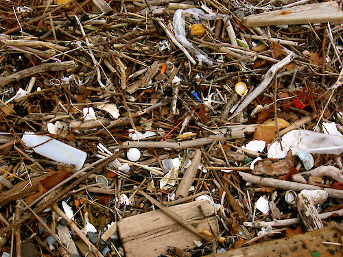 Trash on a Staten Island beach 