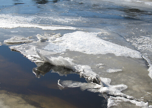 Ice covering the Merriland River as seen from the Carson Trail at the Rachel Carson National Wildlife Refuge near Wells, Maine. 
