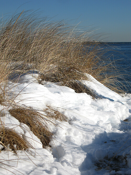 Snowy dunes on Hills Beach, Biddeford, Maine. 
