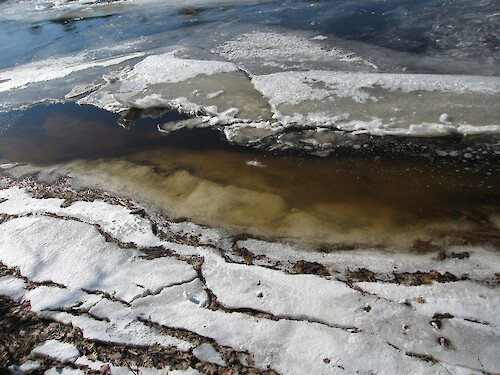 Ice on the Merriland River seen from the Carson Trail at the Rachel Carson National Wildlife Refuge. 