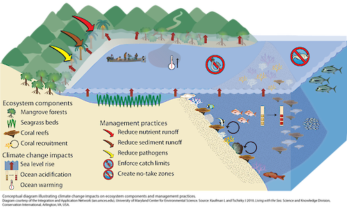 The many benefits of a healthy ocean need to be managed with sustainable land use practices that reduce the flow of sediments, nutrients, and pathogens into coastal waters; catch limits and gear restrictions for fisheries are implemented; and non-extraction zones are established to maximize the well-being of selected marine habitats and to allow them to provide valuable ecosystem services. 