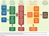 This diagram provides the framework for a science-based, policy-relevant, environmental health report card.