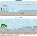 Conceptual diagram illustrating the groundwater flow, and related processes based on season and precipitation in the Delmarva area.