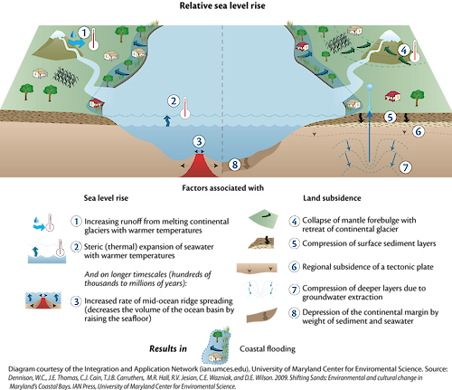 Conceptual diagram illustrating the universal causes and effects of sea-level rise.