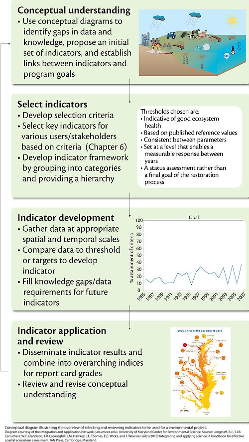 Conceptual diagram illustrating the general overview of selecting and reviewing ecological indicators in a environmental project.