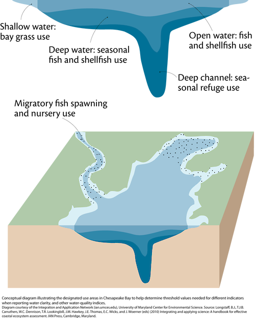 Conceptual diagram illustrating an example of a designated use area in a body of water that is used to determine the threshold values that are used in ecological indicators.