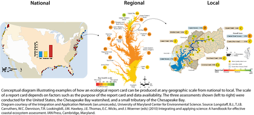 Conceptual diagram illustrating the geographic scale of an environmental report card. The three assessments shown are that of the Chesapeake Bay on a national, regional, and local level.