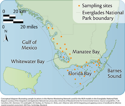 Conceptual diagram illustrating the sample locations in the Marine Monitoring Network used for the MLR models in the Everglades.
