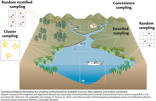Conceptual diagram illustrating how sampling is to be conducted based on available resources, data needed, and analyses conducted.