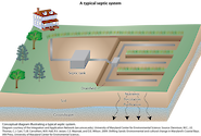 conceptual diagram illustrating a typical residential septic system.