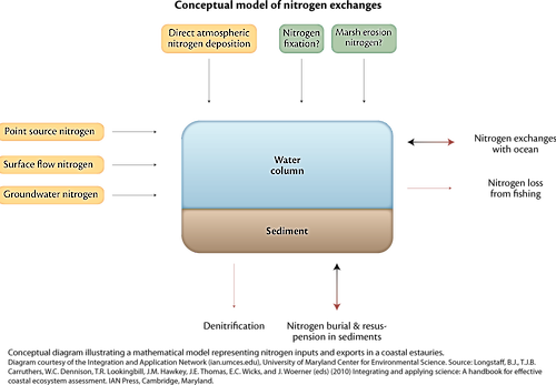 Conceptual diagram illustrating a mathematical model which represents nitrogen inputs and exports in coastal bays.