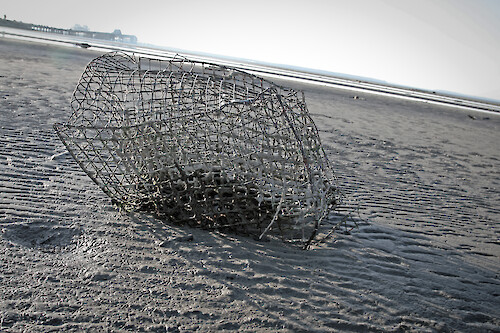 A washed up crab trap on the beach of the Chesapeake Bay, Maryland